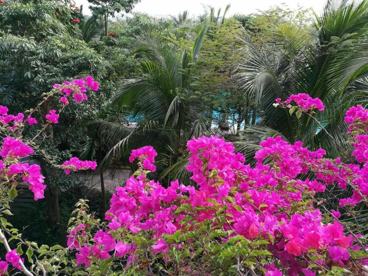 Stony Brook Villa Jianguo Resort Саня Екстериор снимка
